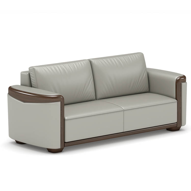 Leather Office Sofa SPX888G Series